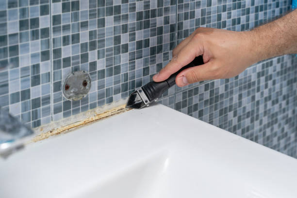 Best Attic Mold Removal  in Salem, UT